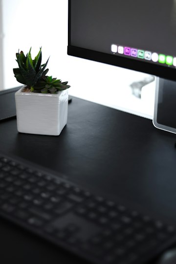 Desk Workspace with Succulent