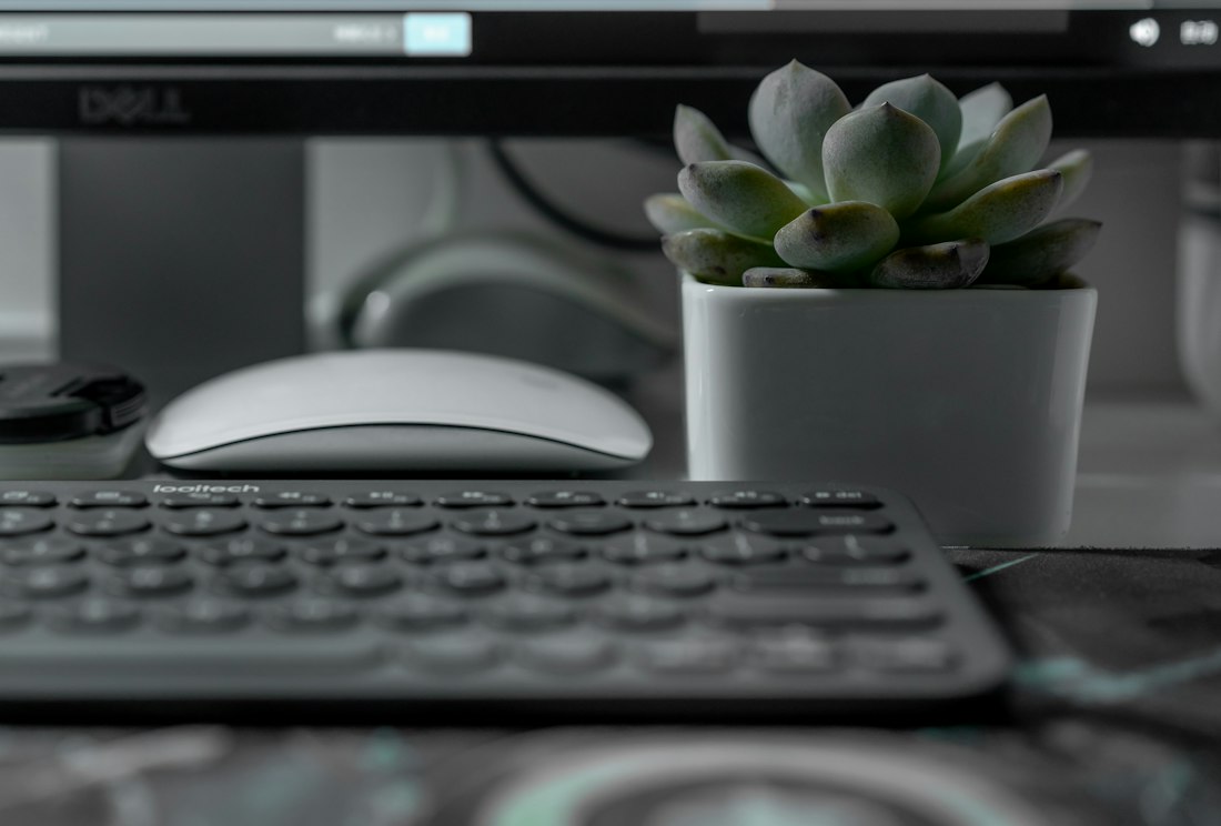 Succulent on Minimalist Desk