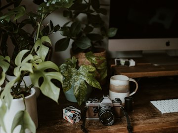 Vintage Camera Workspace