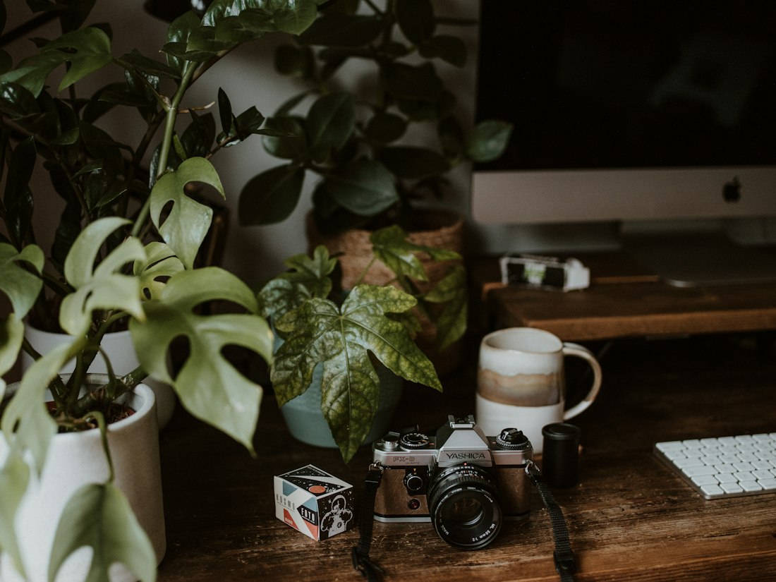 Vintage Camera Workspace